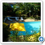 383377_464900870271658_1902029212_n