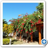 971652_464897200272025_1820981334_n